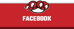 Erie Community College Athletics
